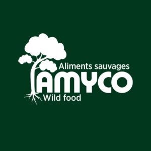 Amyco nouveau logo