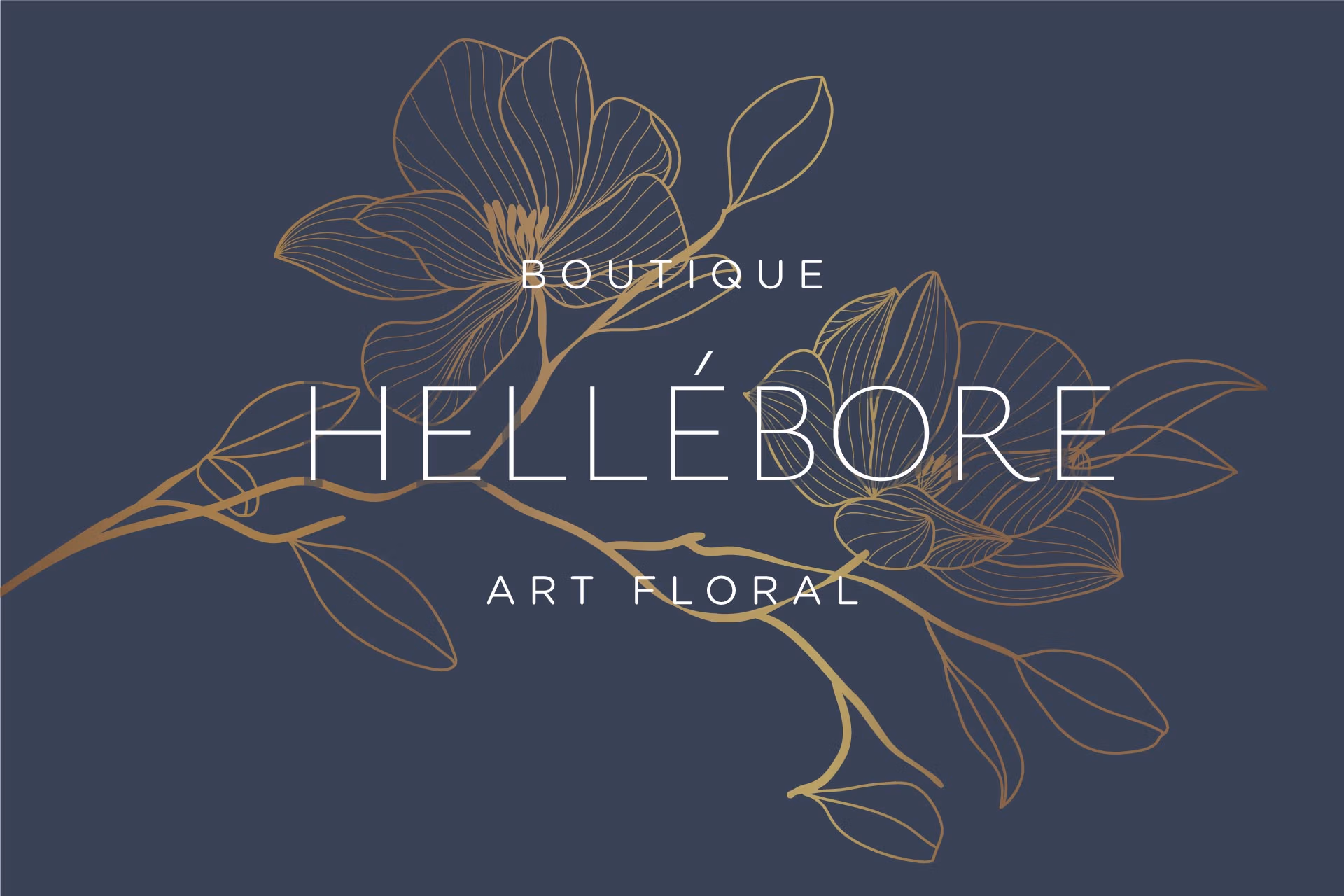 Logo Hellébore